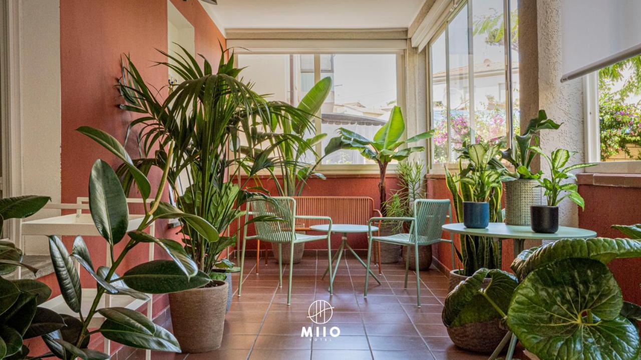 Hotel Miio
